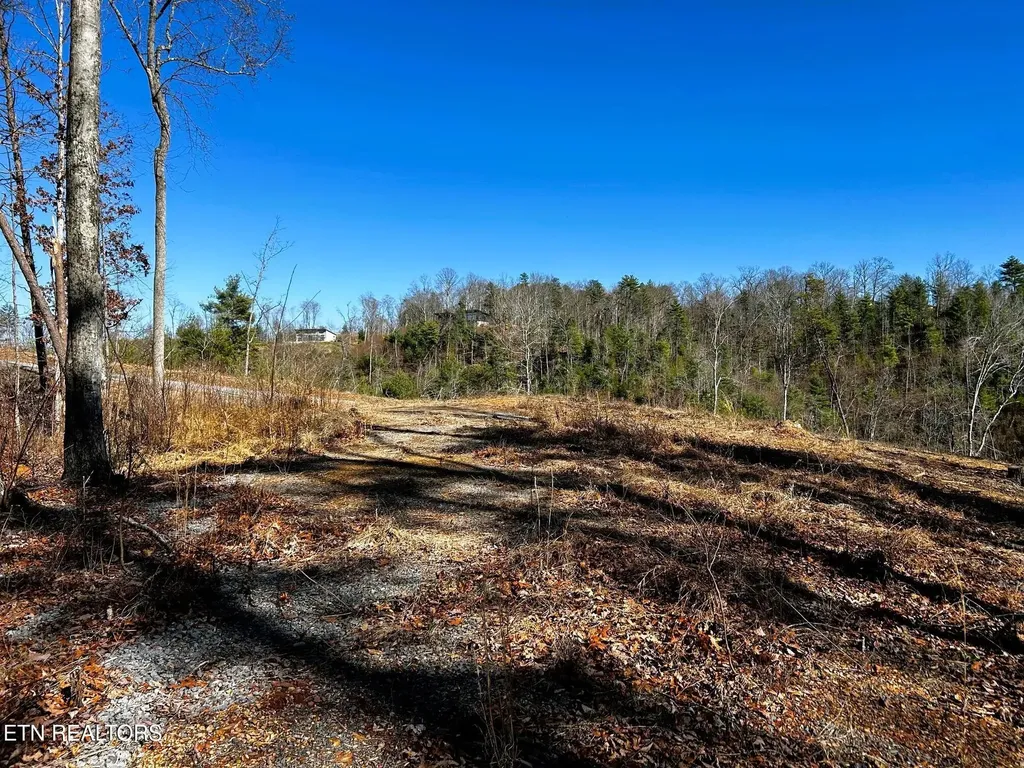 107125 Chestnut Mountain Road Reliance TN 37369