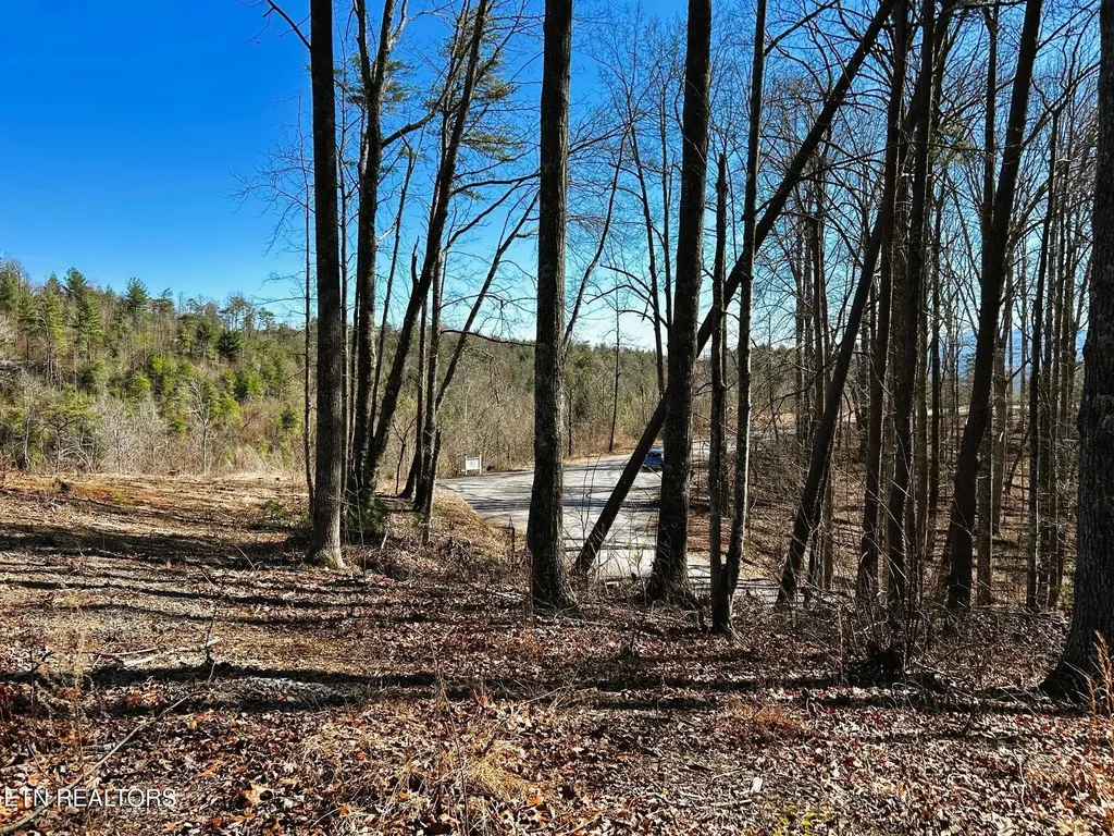 107125 Chestnut Mountain Road Reliance TN 37369