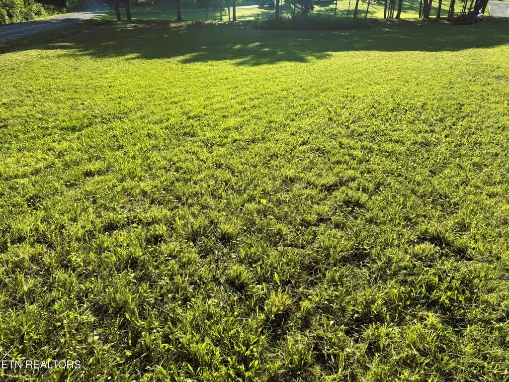0 County Road 571 Englewood TN 37329