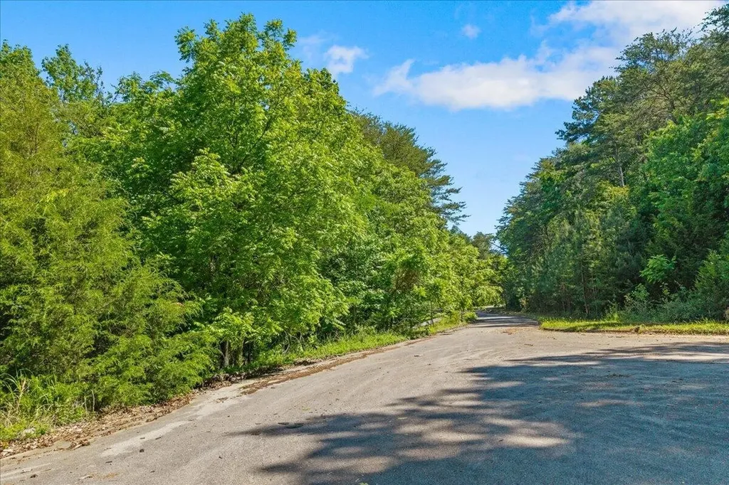 0 Elm Lot 19 Lane Sweetwater TN 37874
