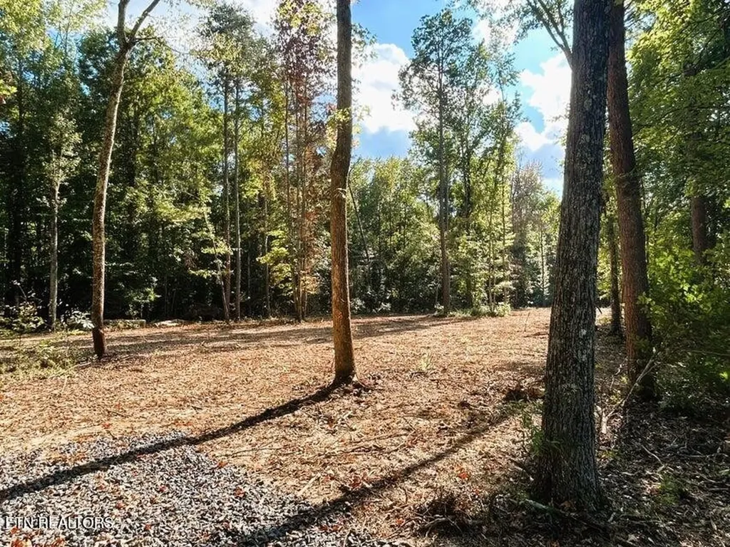 3 Pleasant Hill Ten Mile TN 37880