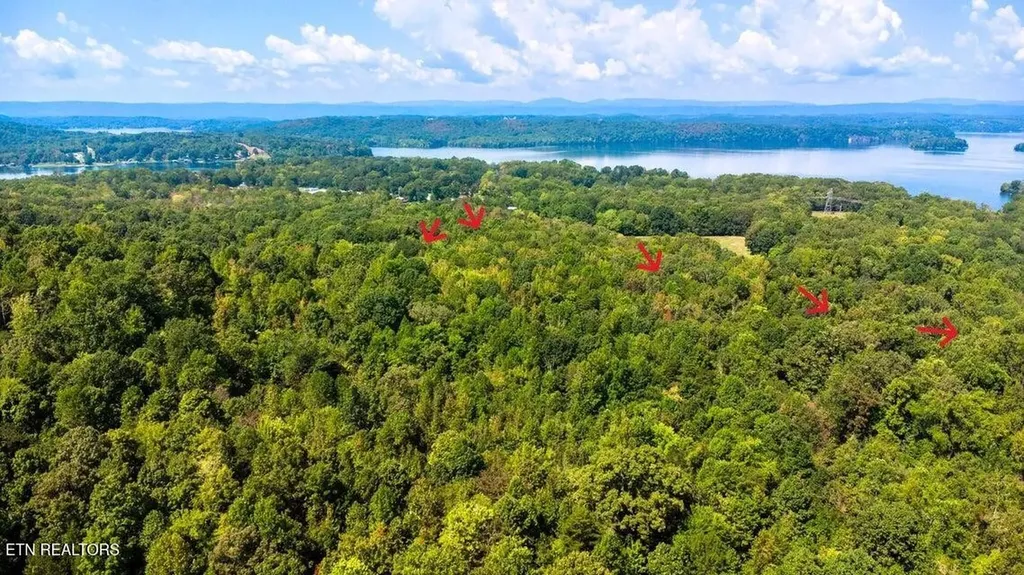 3 Pleasant Hill Ten Mile TN 37880