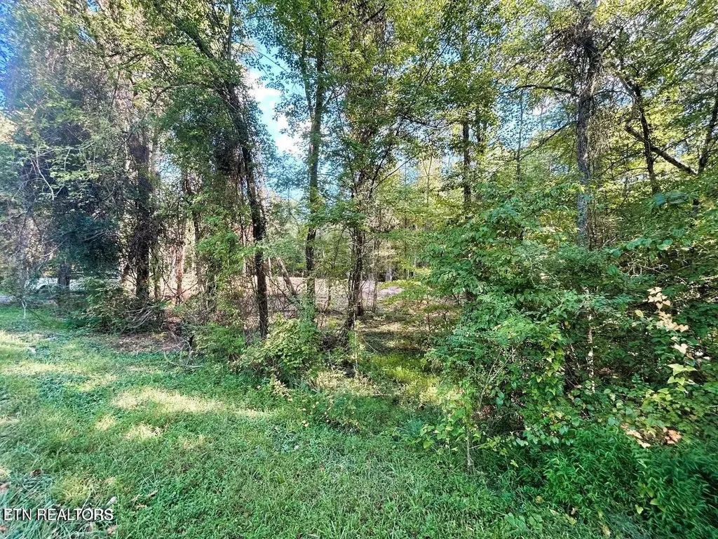 55 Pleasant Hill Road Ten Mile TN 37880