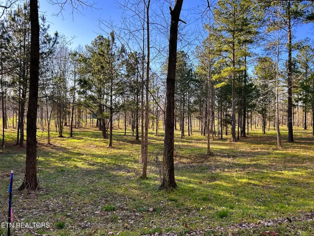 4 County Road 950 Calhoun TN 37309