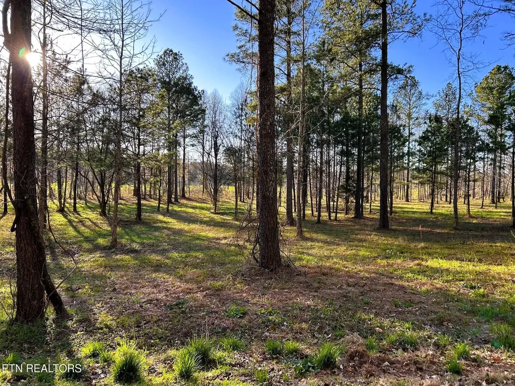 4 County Road 950 Calhoun TN 37309