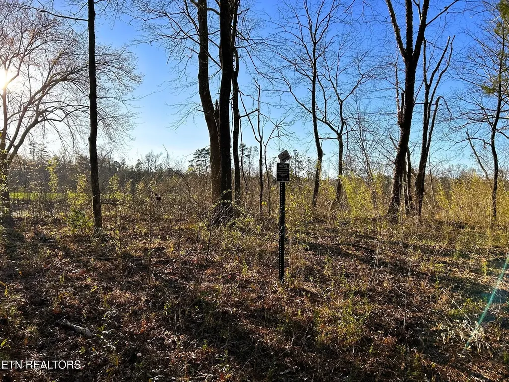 4 County Road 950 Calhoun TN 37309