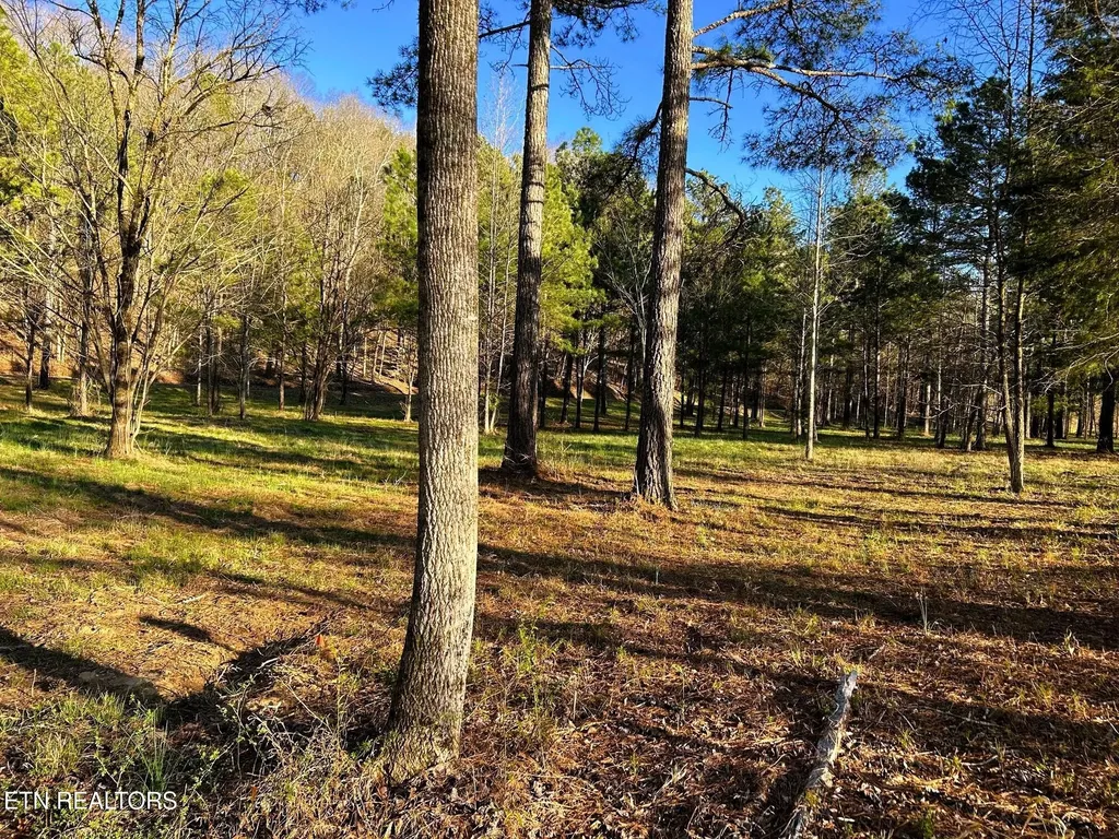 4 County Road 950 Calhoun TN 37309