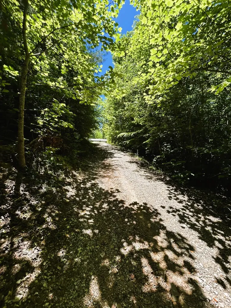 161 Willie Shell Road Reliance TN 37369