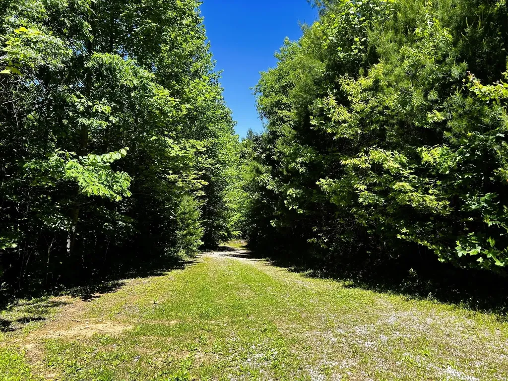 161 Willie Shell Road Reliance TN 37369