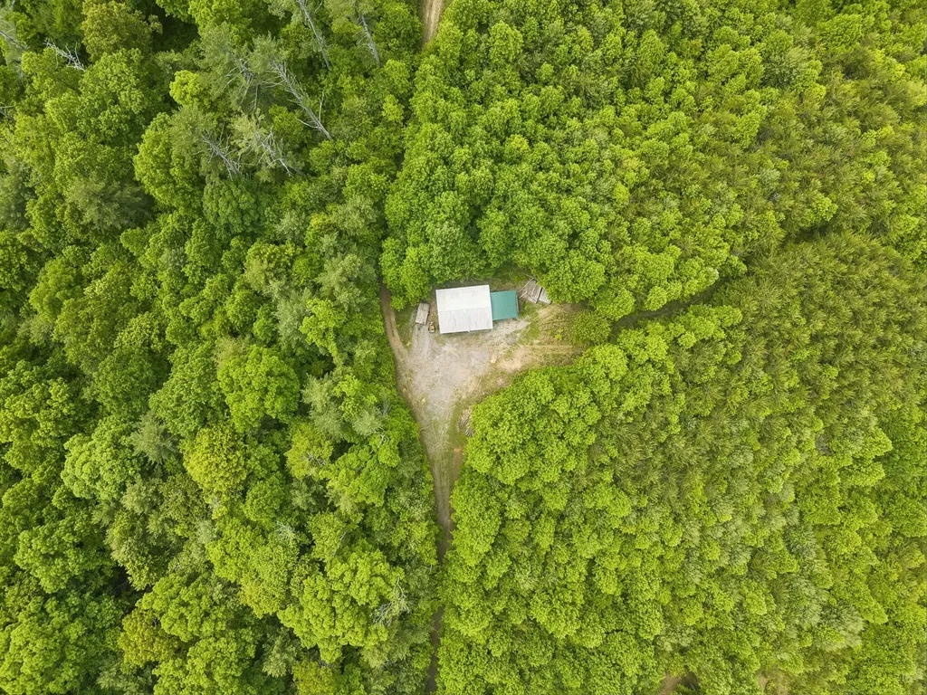 161 Willie Shell Road Reliance TN 37369