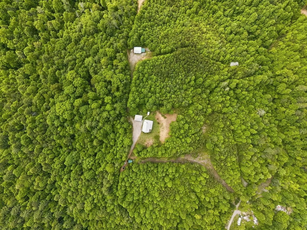 161 Willie Shell Road Reliance TN 37369