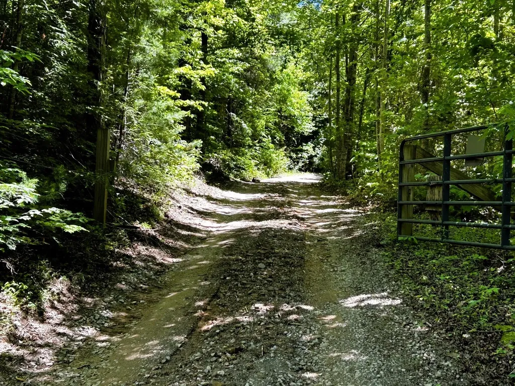 161 Willie Shell Road Reliance TN 37369