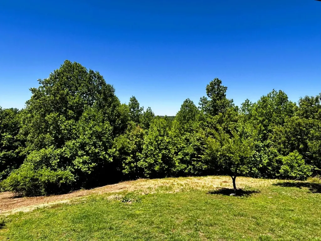 161 Willie Shell Road Reliance TN 37369