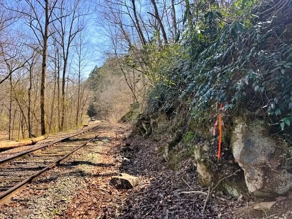 768 Ellis Creek Road Reliance TN 37369
