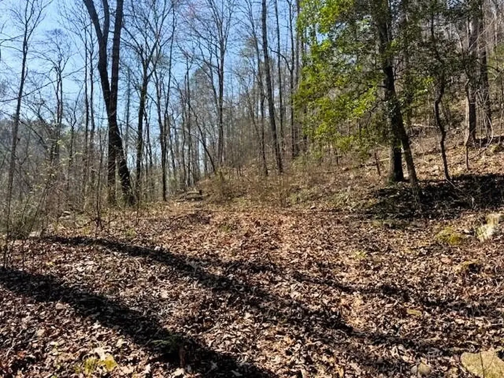 768 Ellis Creek Road Reliance TN 37369