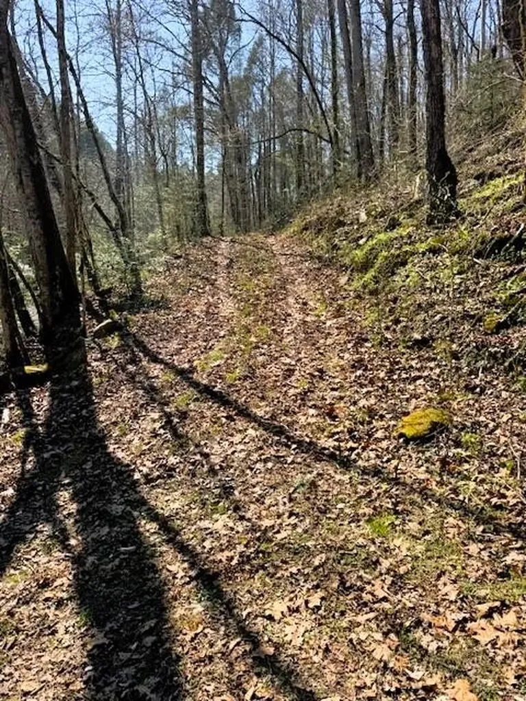 768 Ellis Creek Road Reliance TN 37369