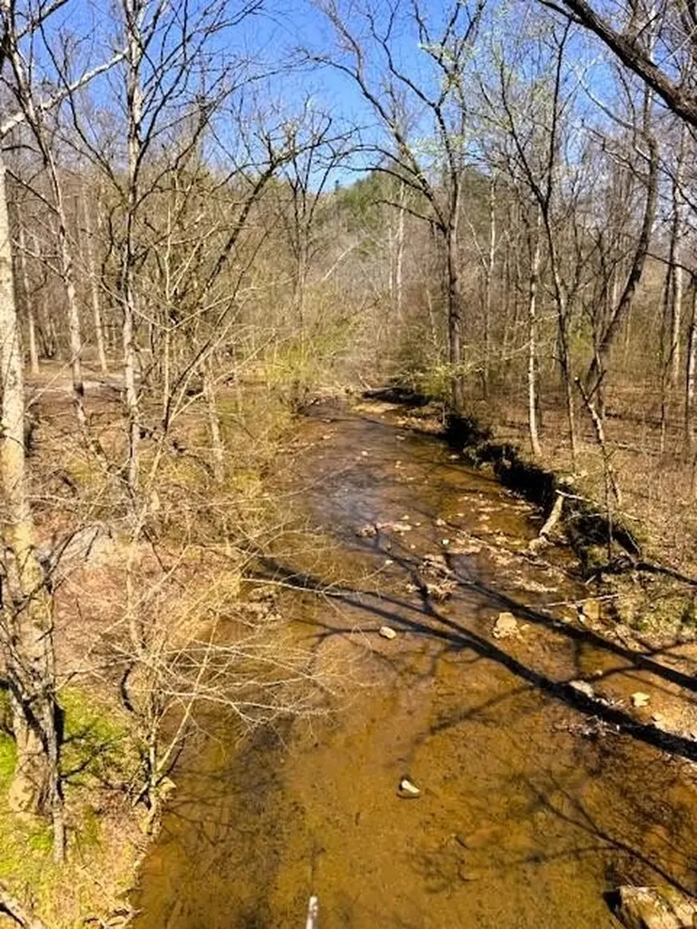 768 Ellis Creek Road Reliance TN 37369