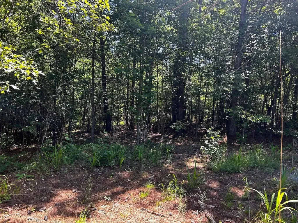 34 Tennessee 304 Ten Mile TN 37880