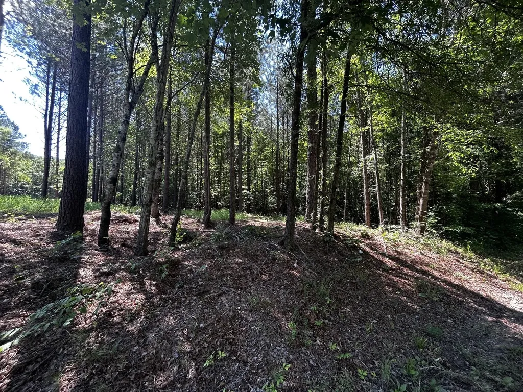 34 Tennessee 304 Ten Mile TN 37880