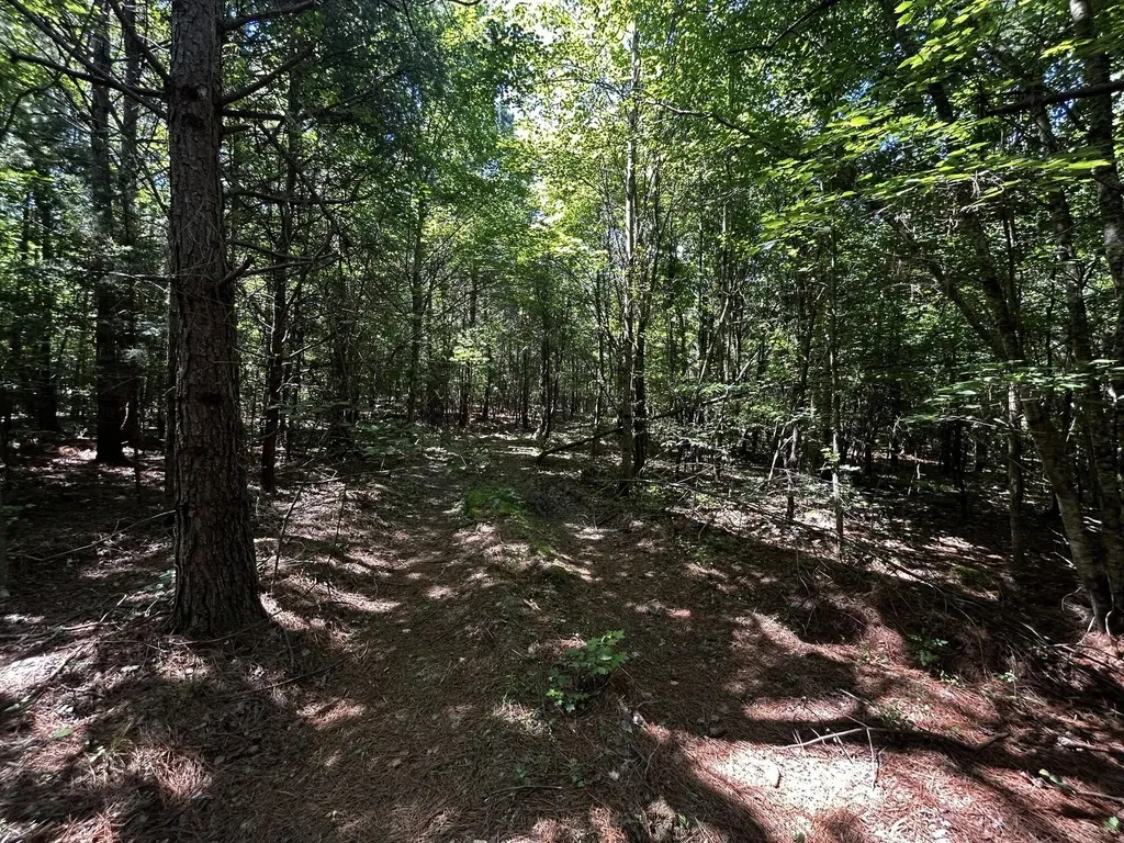 34 Tennessee 304 Ten Mile TN 37880