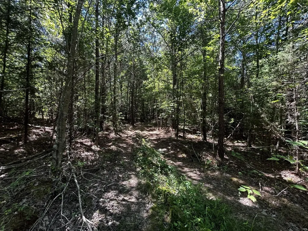 34 Tennessee 304 Ten Mile TN 37880