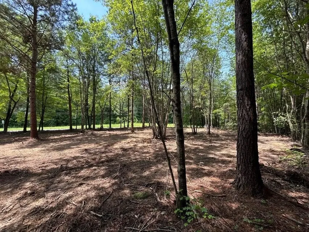 34 Tennessee 304 Ten Mile TN 37880