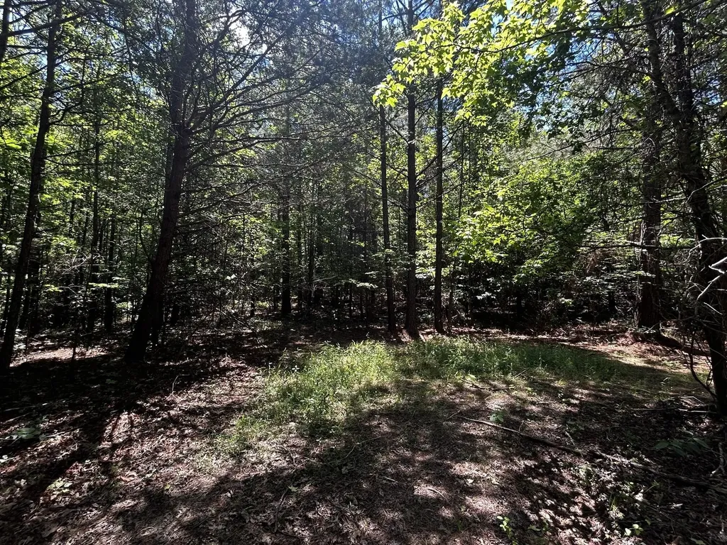 34 Tennessee 304 Ten Mile TN 37880