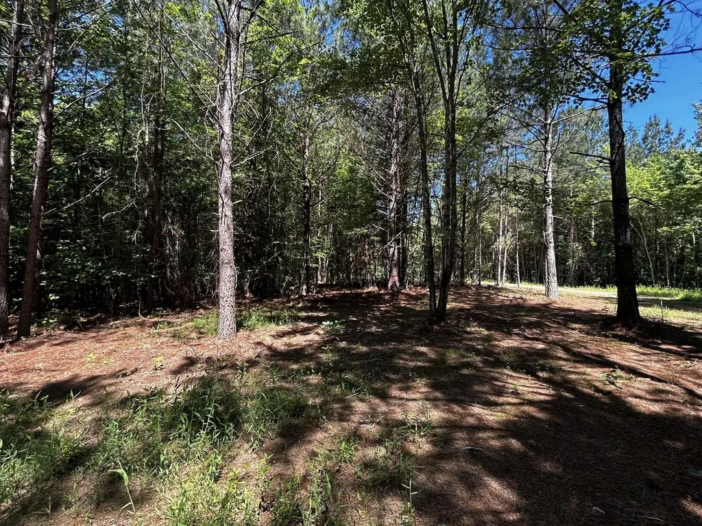 34 Tennessee 304 Ten Mile TN 37880