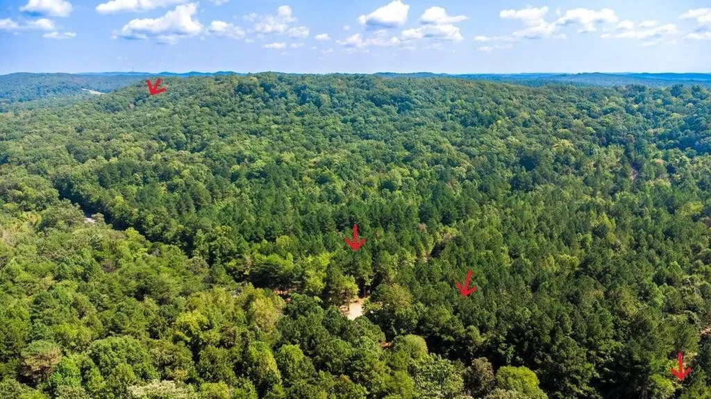 34 Tennessee 304 Ten Mile TN 37880