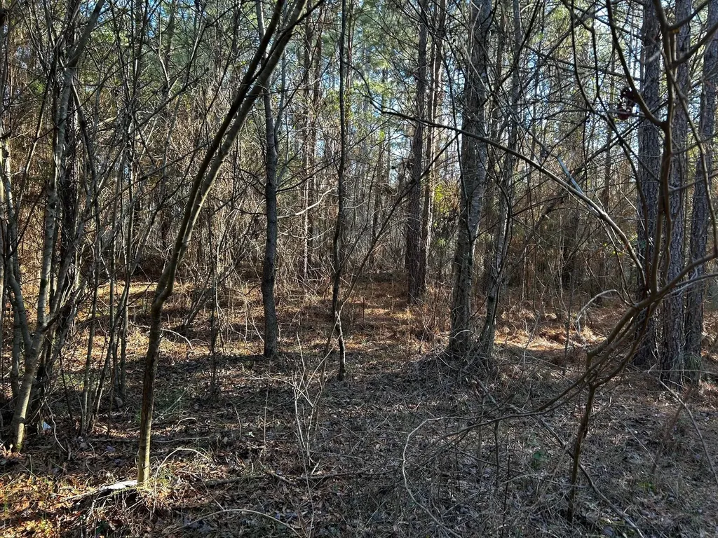27 Charles Road Decatur TN 37322