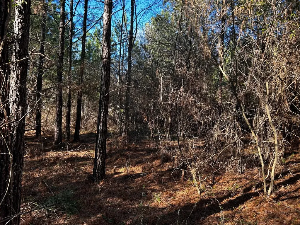 27 Charles Road Decatur TN 37322