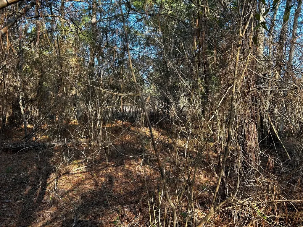 27 Charles Road Decatur TN 37322