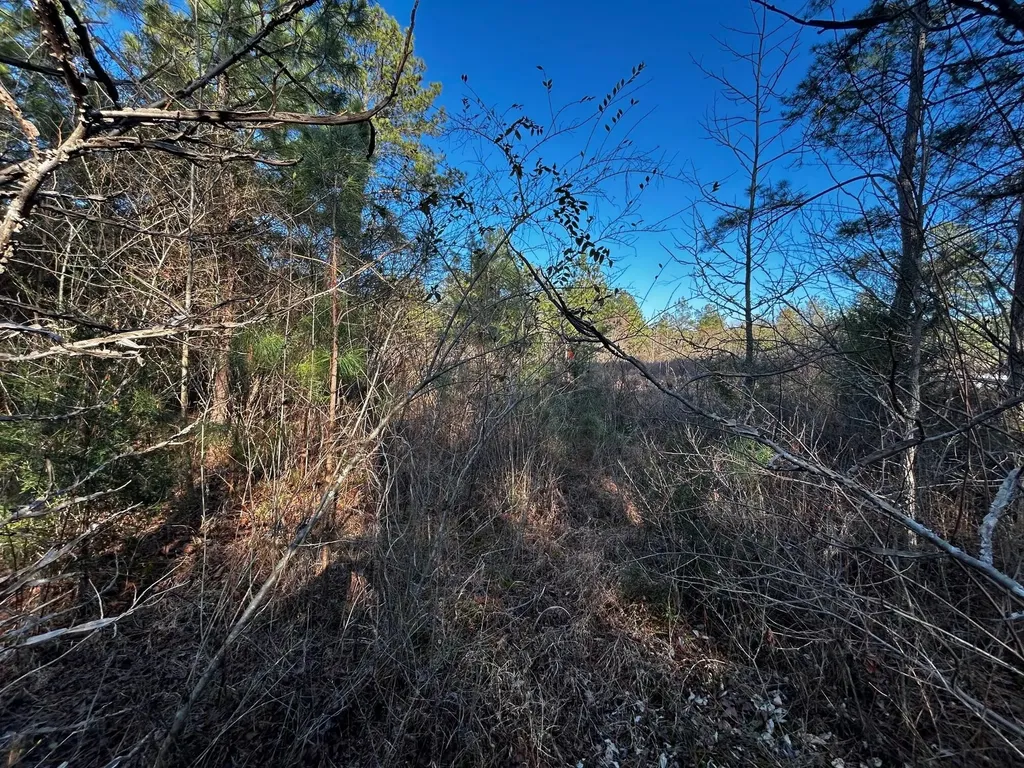27 Charles Road Decatur TN 37322