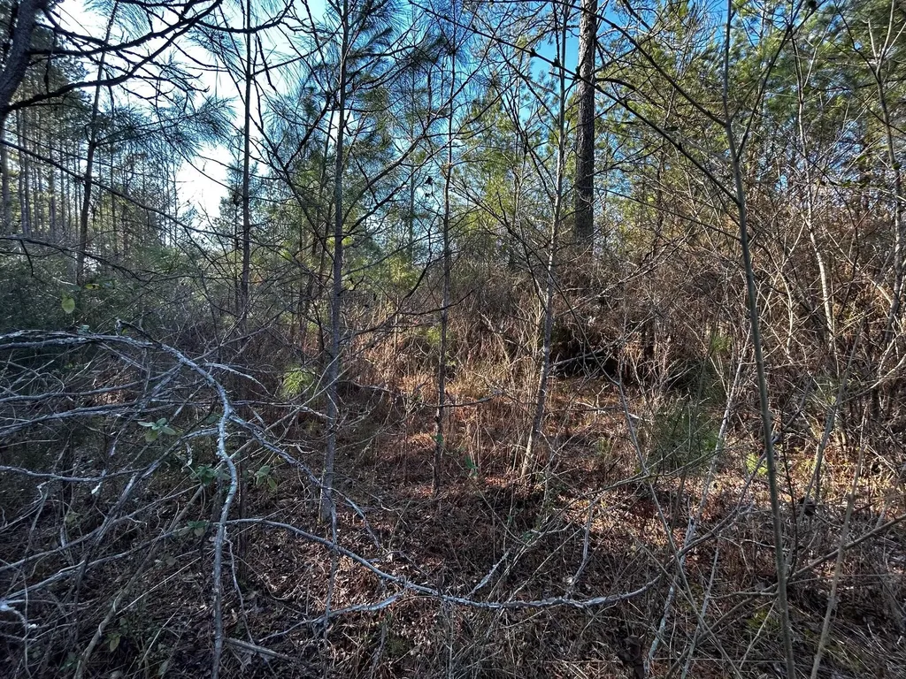 27 Charles Road Decatur TN 37322