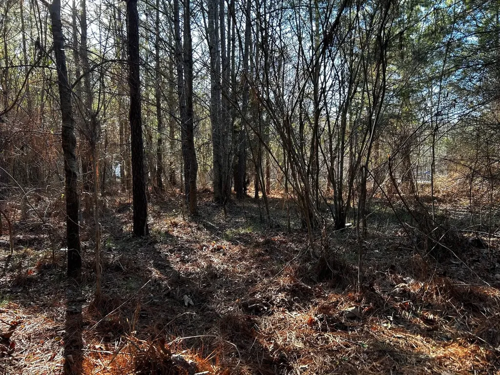 27 Charles Road Decatur TN 37322