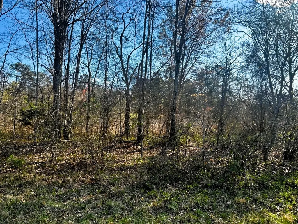 3 Lamontville Road Decatur TN 37322