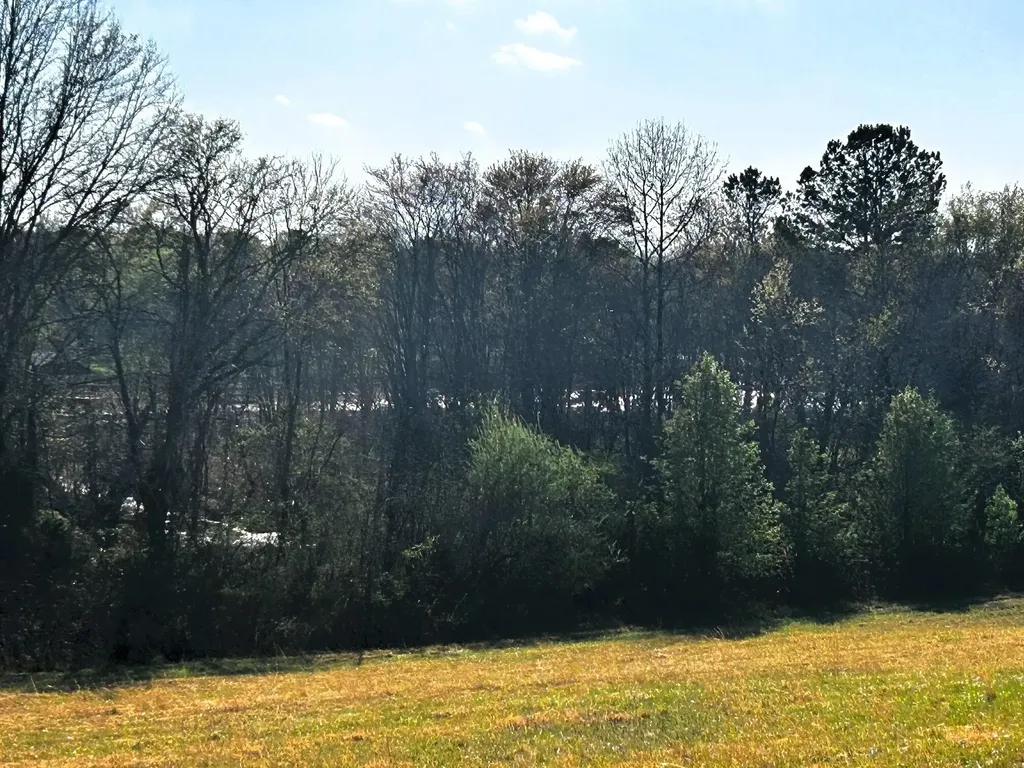 3 Lamontville Road Decatur TN 37322