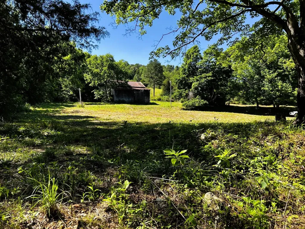 1060 County Road 130 Riceville TN 37370