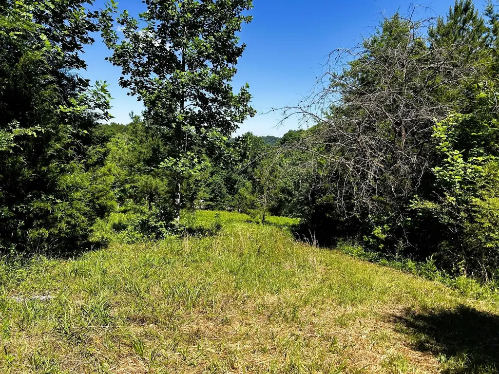1060 County Road 130 Riceville TN 37370