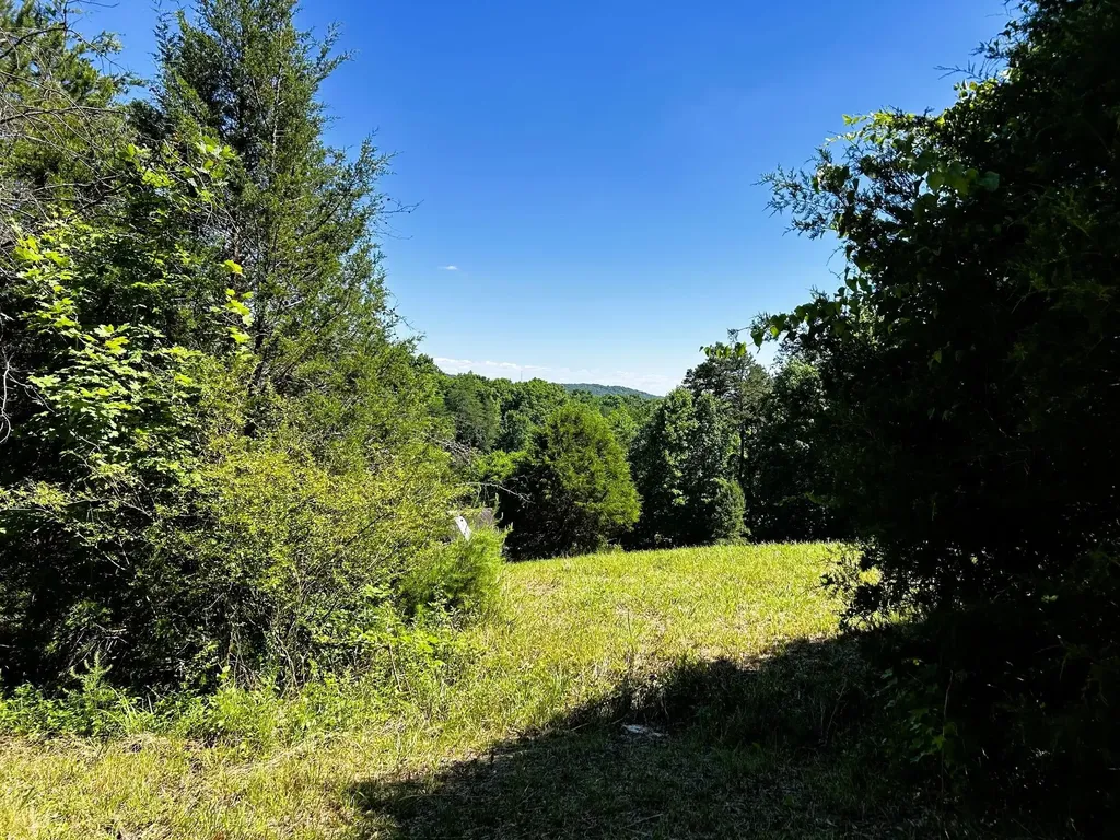 1060 County Road 130 Riceville TN 37370