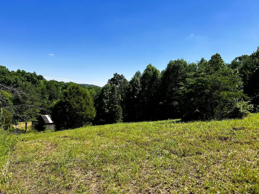 1060 County Road 130 Riceville TN 37370