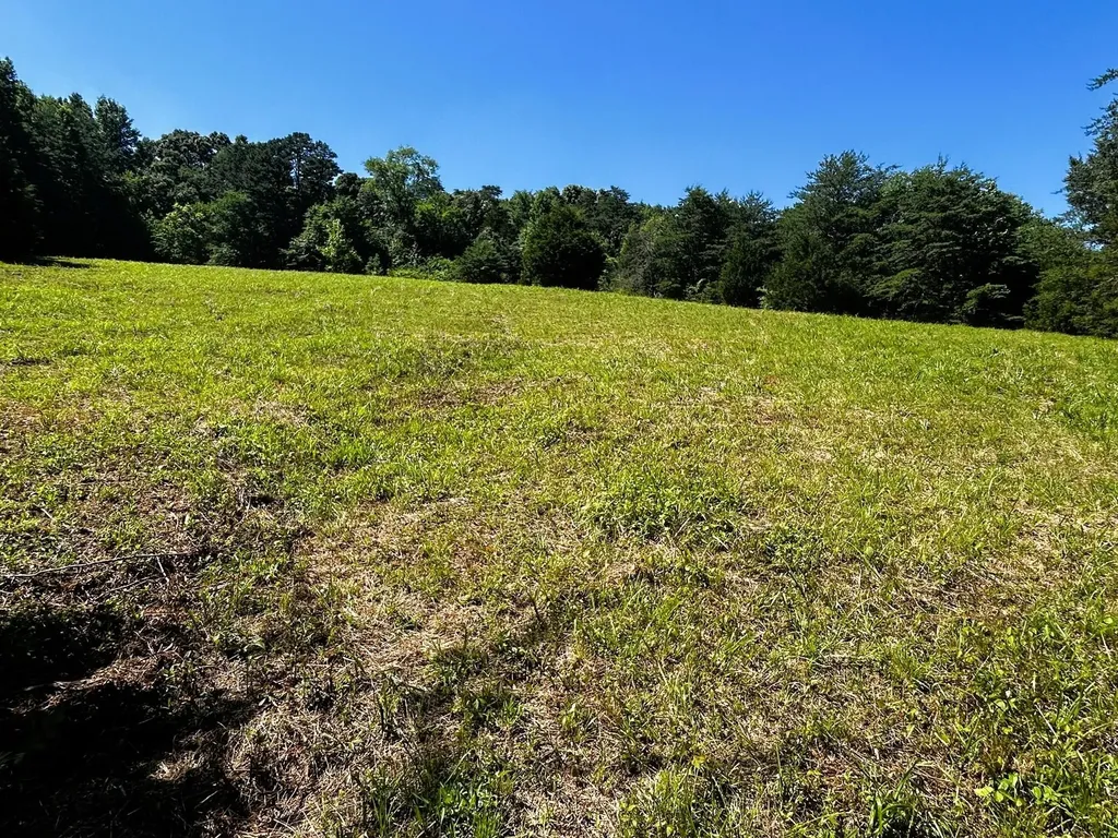1060 County Road 130 Riceville TN 37370
