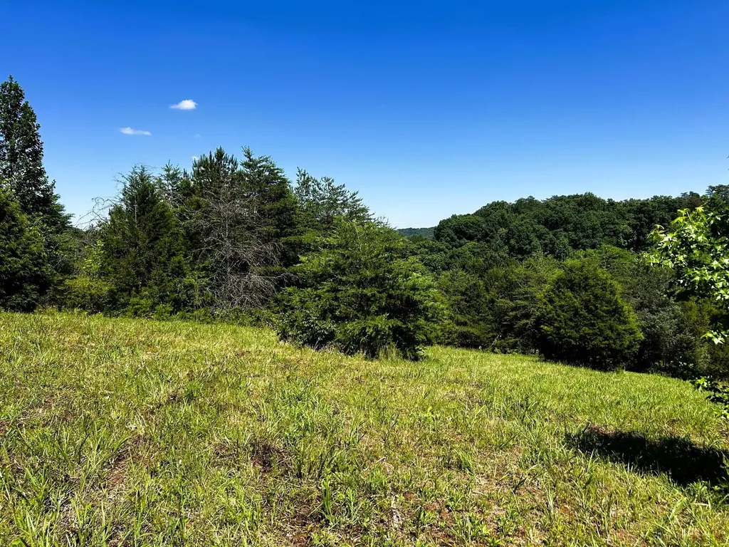 1060 County Road 130 Riceville TN 37370