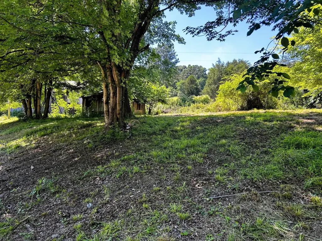 1060 County Road 130 Riceville TN 37370
