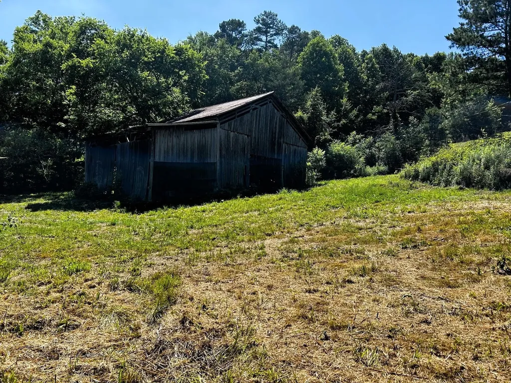 1060 County Road 130 Riceville TN 37370