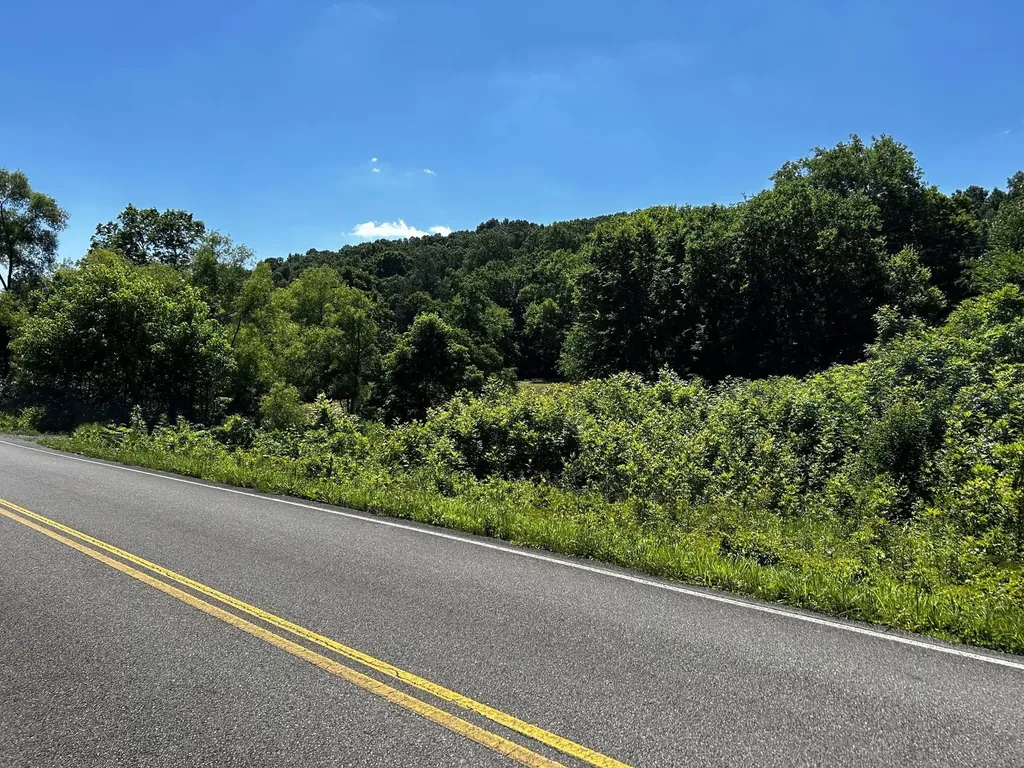 1060 County Road 130 Riceville TN 37370