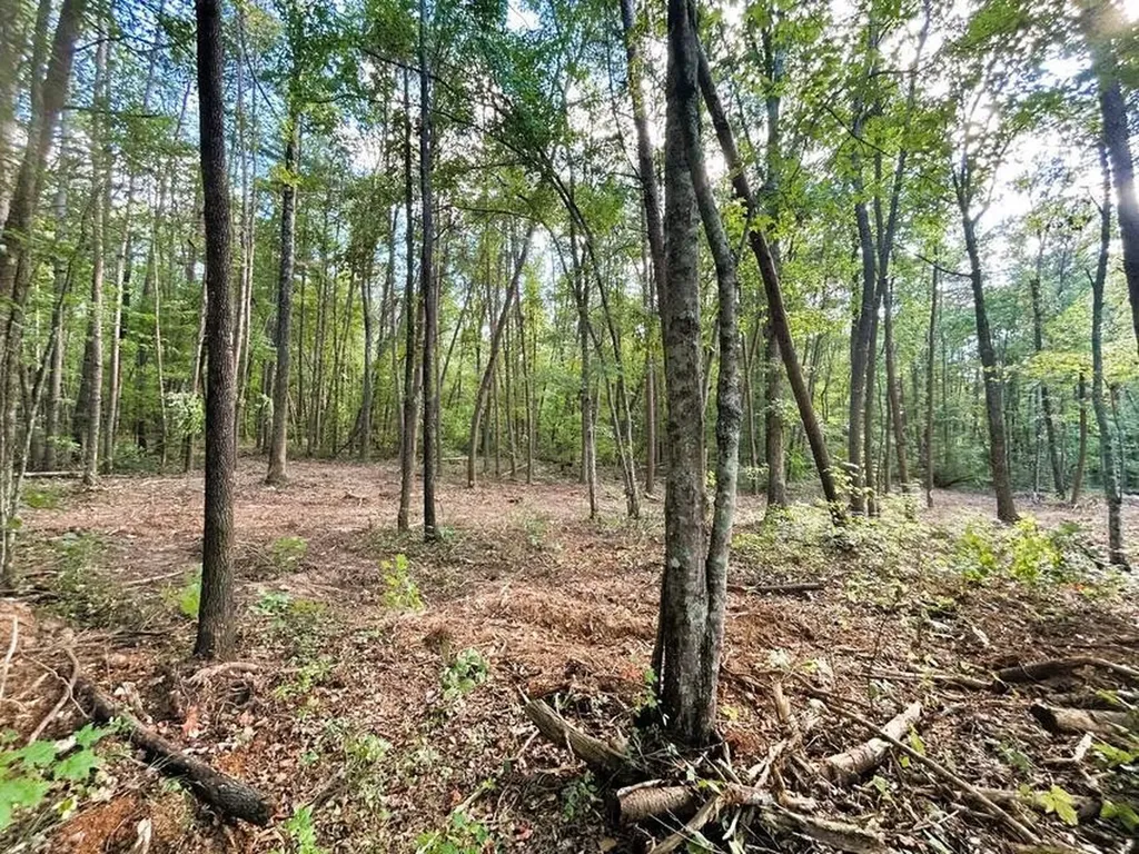 4 Pleasant Hill Road Ten Mile TN 37880