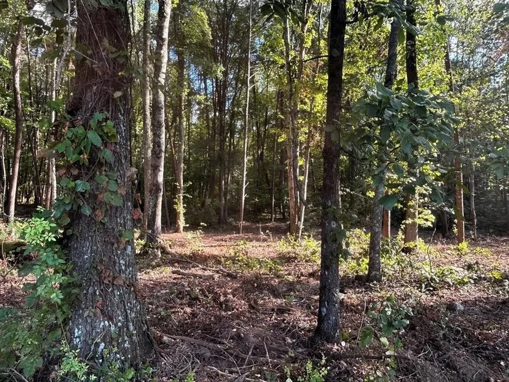 4 Pleasant Hill Road Ten Mile TN 37880