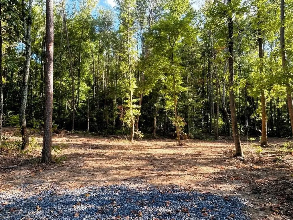 4 Pleasant Hill Road Ten Mile TN 37880