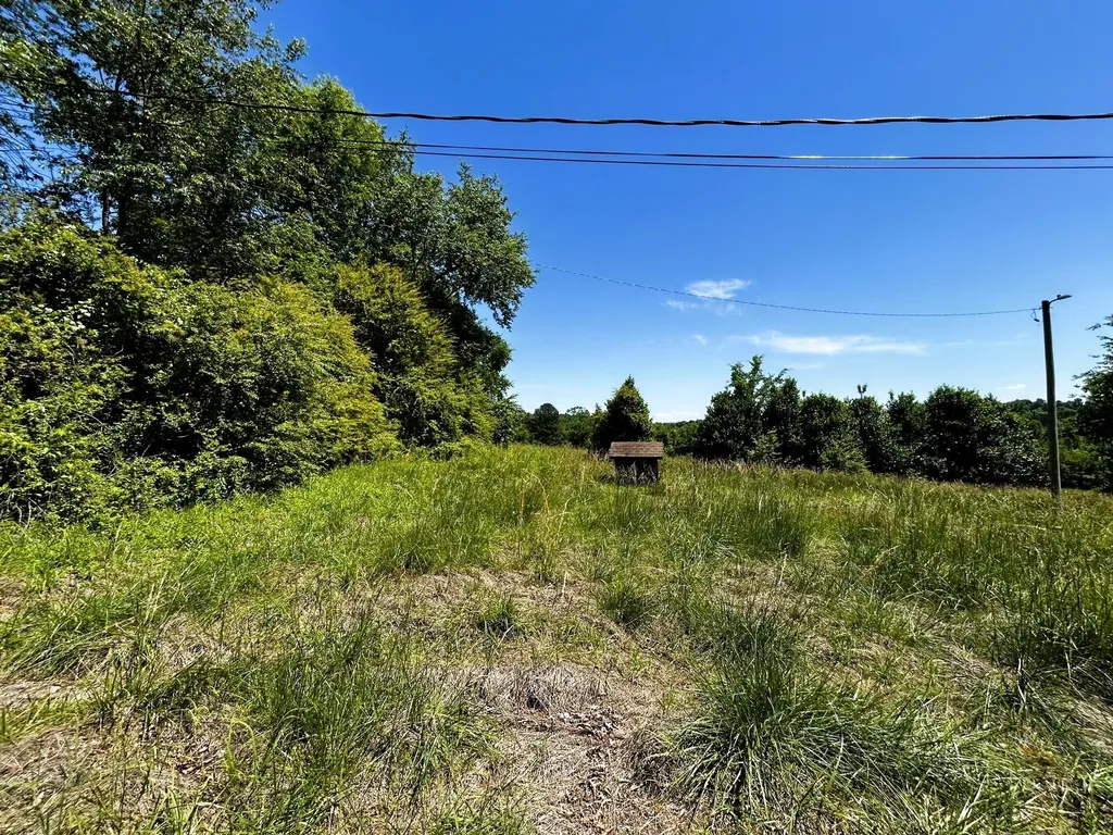 573 S Judd Road Decatur TN 37322